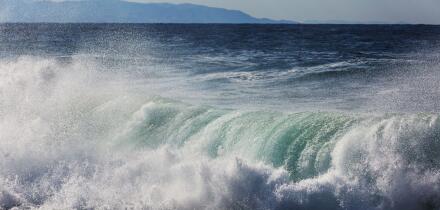 Wave. Image shot 12/2019. Exact date unknown.