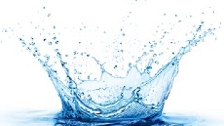 splash_Fotolia_230x150