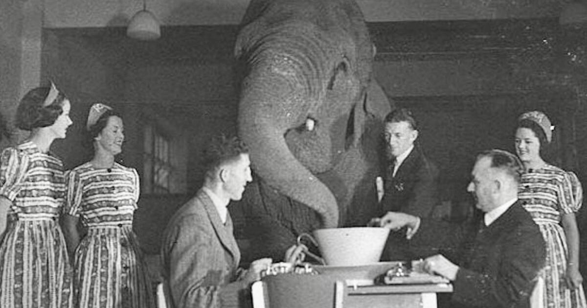 UK cannot ignore securitization's elephant in the room