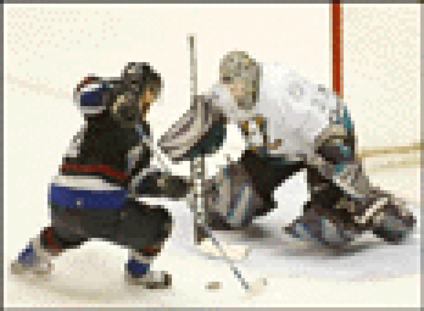 hockey85.gif