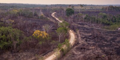 Drone aerial view of deforestation on farm with illegal burning of forest trees to make pasture for cattle in Amazon rainforest, Para, Brazil.