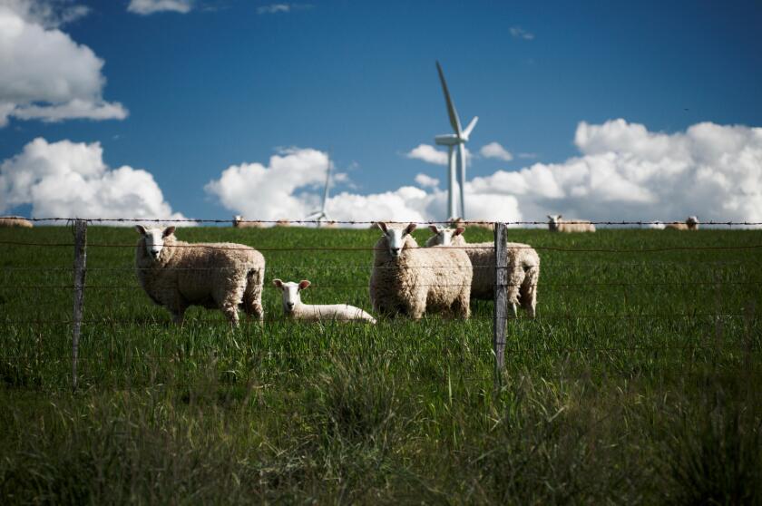 The Stockyard Hill Wind Farm is a wind energy project located 35 km west of Ballarat in Victoria?s central highlands, known as the Pyrenees, Australia