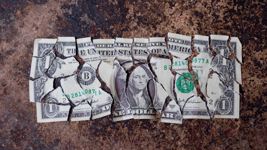 Torn US Dollar Bill USA Dollar Bill