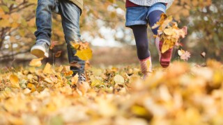 Children walking in autumn leaves