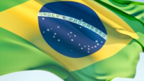 brazil flagpx230