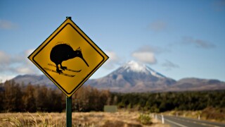 Defaced roadsign alerting drivers to beware of running over Kiwis. Image shot 2008. Exact date unknown.