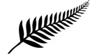 nz_fotolia_230x150