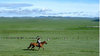 Mongolia horse steppes