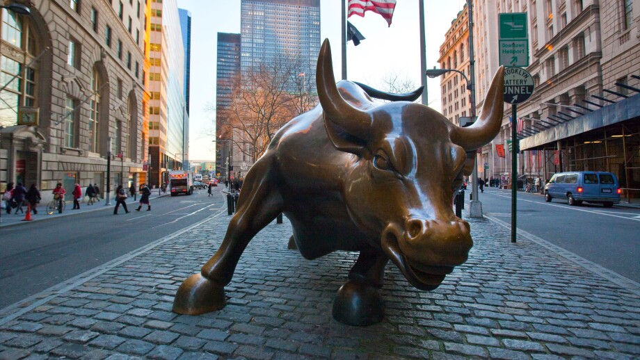 Wall Street Bull in Downtown Manhattan, NYC