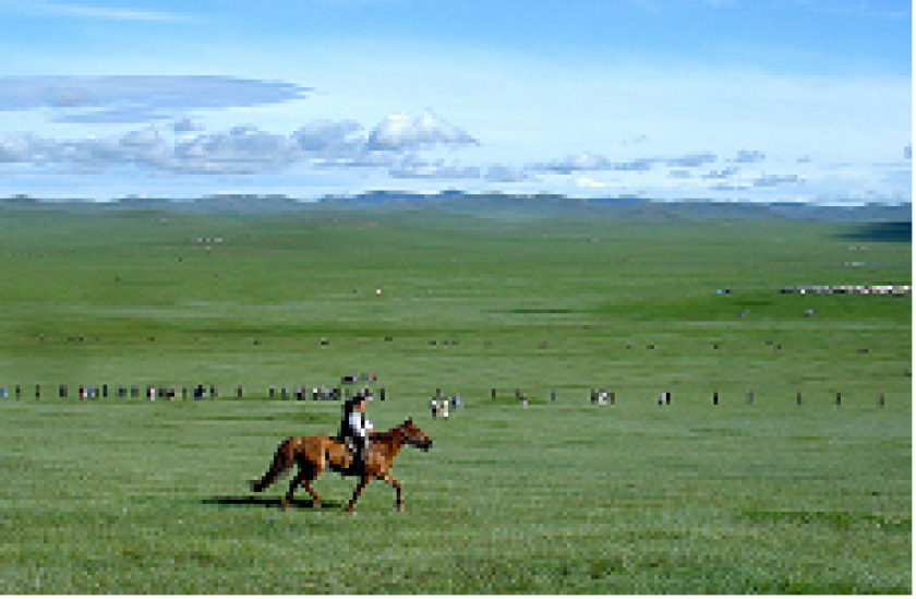 Mongolia horse steppes