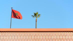 Moroccan flag, wall, palm, Marrakech, Morocco,
