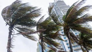 Miami Beach Florida,palm trees,windblown,blowing in wind,tropical storm,hurricane,high winds,Continuum,high rise,condominiums,FL111014061