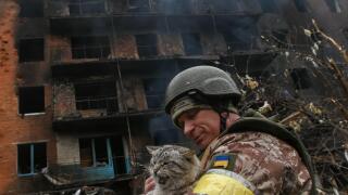 Vasylkiv, Ukraine, March 1st, 2022. A Ukrainian service member holds a stray cat in front of a heavily damaged apartment building in the town of Valsylkiv, where local authorities say two Russian Smerch missiles landed causing a yet unknown number of fata