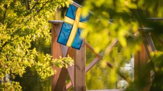 Swedish flag summer_alamy_7Jun23
