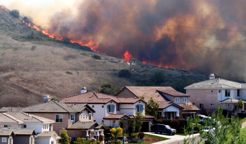 Wildfire Smoke Damage
