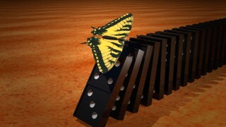 Butterfly effect.