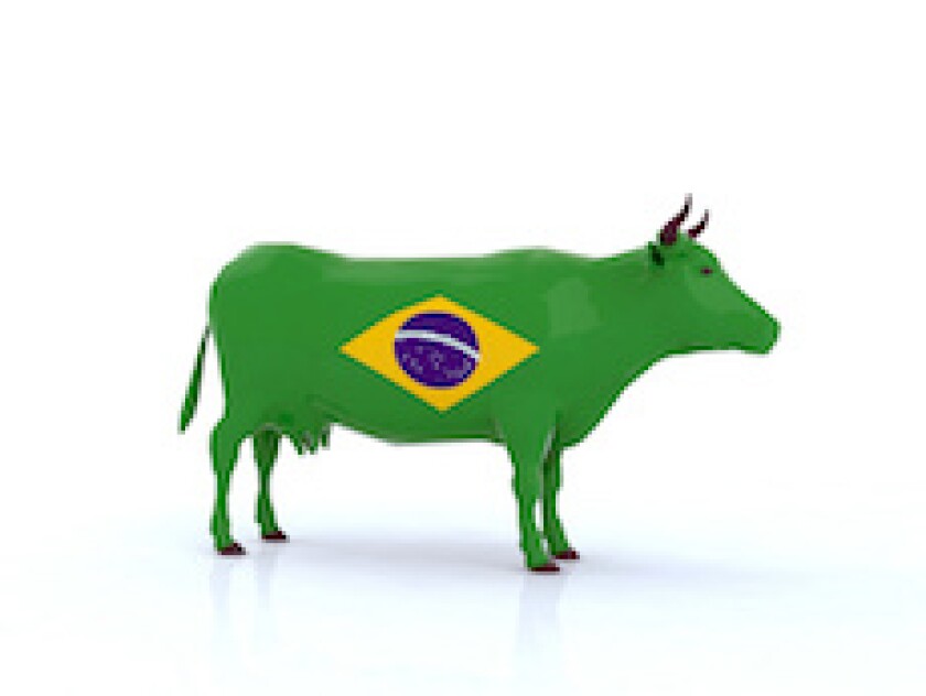 Marfrig, Brazil, cow, meat, protein, meatpacker, latAm