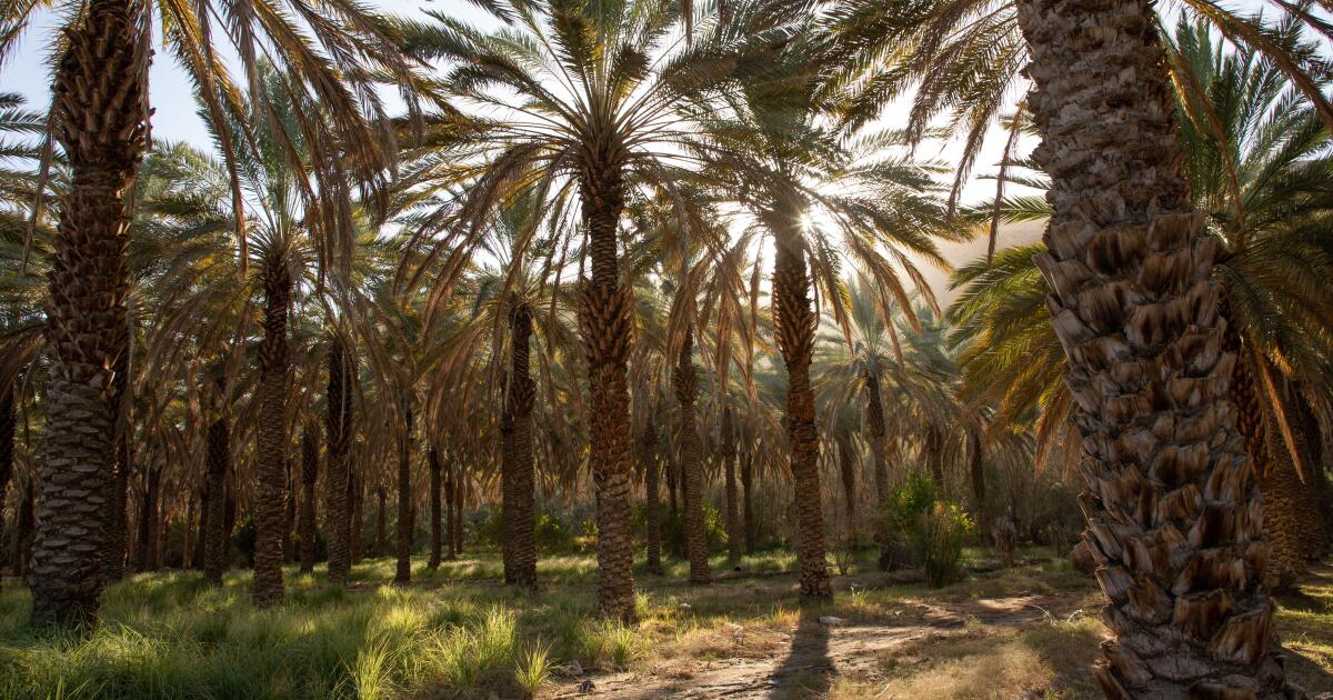 Saudi gas investor issues debut bonds to repay bridge loan