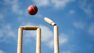 Barbados, Stumped, Cricket, wicket, Caribbean, LatAm