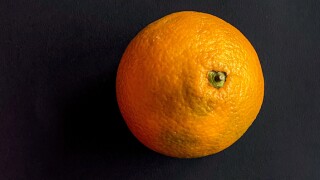 Alamy_Orange_575x375.jpg