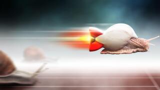 Fast flying snail in a rocket shell winning the race. Snail racing with blurred moving background.