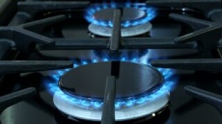 gas hob 230x150