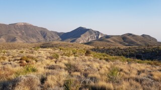 Coahuila grassland from Cultivo for use 13Mar25 575x375.jpg