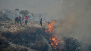 Wildfire in Cyprus July 2025 from Alamy 15Aug2025