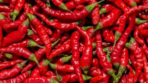 Hot red chilli pepper background