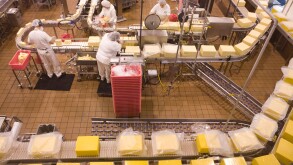 Women on the production line making cheddar cheese at Tillamook Cheese factory in Tillamook Oregon