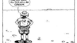 GC1772 leader cartoon.jpg