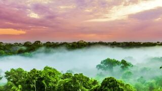 Amazon_AdobeStock_575x375