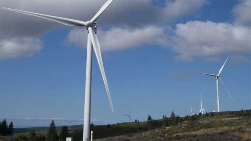 Amazon windfarm Scotland.jpg