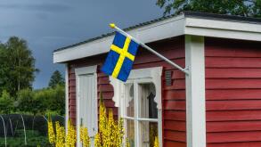 Swedish flag on traditional Swedish small red wooden guest cottage, white window, door. Summer day after rain, yellow flowers, green trees and strawbe