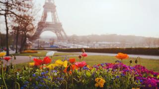 Paris, flowers and Eiffel tower
