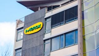 Yellow green Merck logo at the wall of a Merck office building. Merck is one of the largest pharmaceutical companies in the world. Darmstadt, Germany.