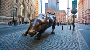 Wall Street Bull in Downtown Manhattan, NYC
