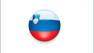 Slovenia icon 230px