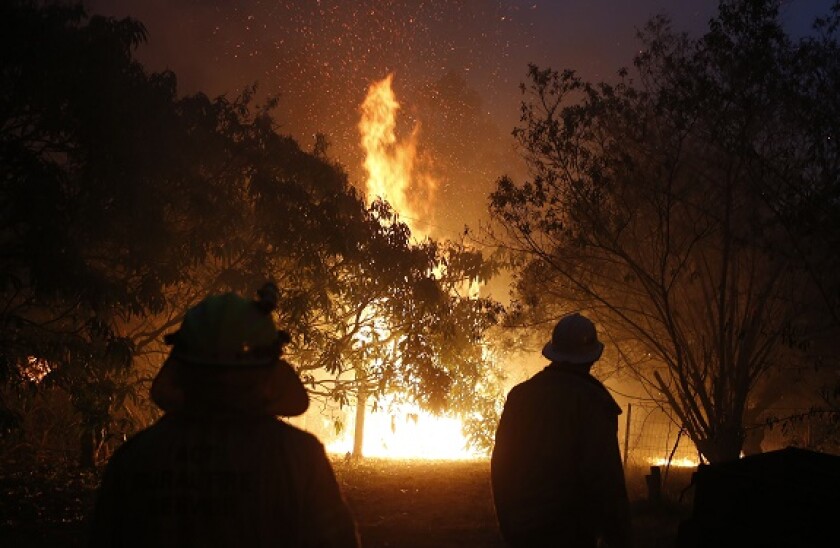 Australia_forest_fire_PA_575x375_jan20.jpg