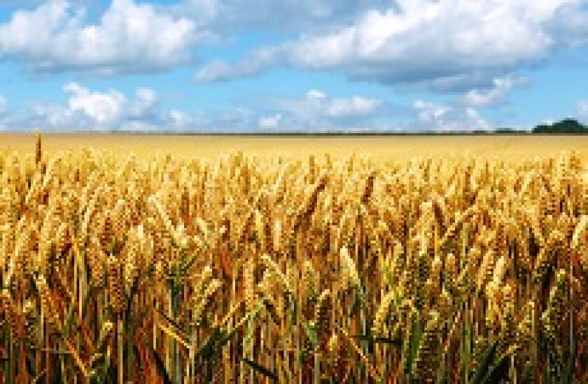 Agriculture_Alamy_230x150_21Nov19