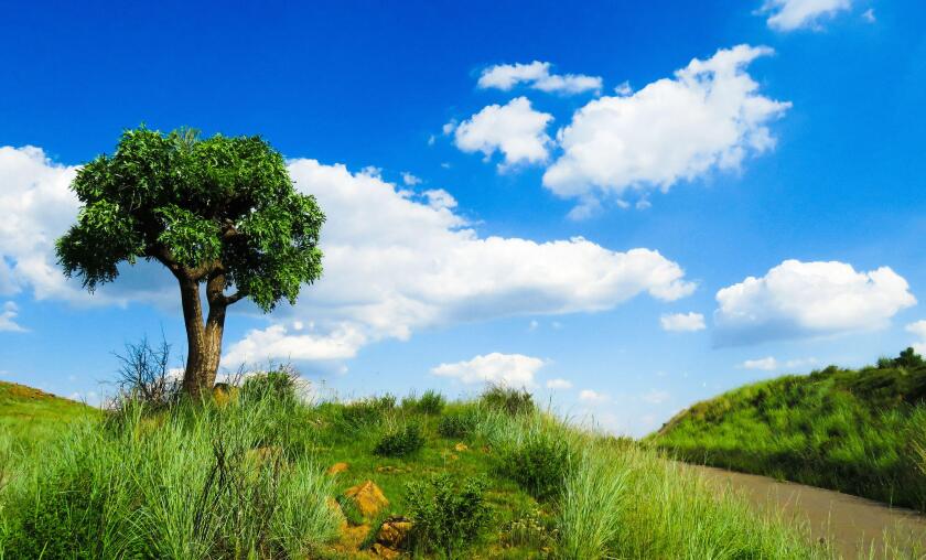 Into the blue yonder