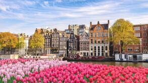 Amsterdam Netherlands, city skyline Dutch house at canal waterfront with spring tulip flower. Image shot 02/2019. Exact date unknown.