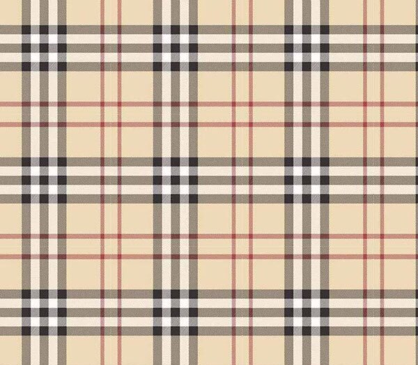 Burberry check trademark Clearance