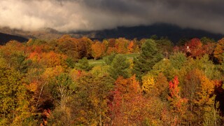 STORM OVER TREES IN FALL COLORS MOUNT MANSFIELD STOWE VERMONT