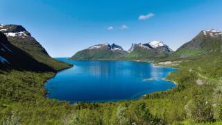 Mountain fjord, birch wood, blue, bay, fjord, sky, blue, scenery, landscape, deciduous forest, Norway, Europe, Senja, Scandinavia