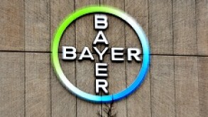 Bayer_logo_PA_230x150