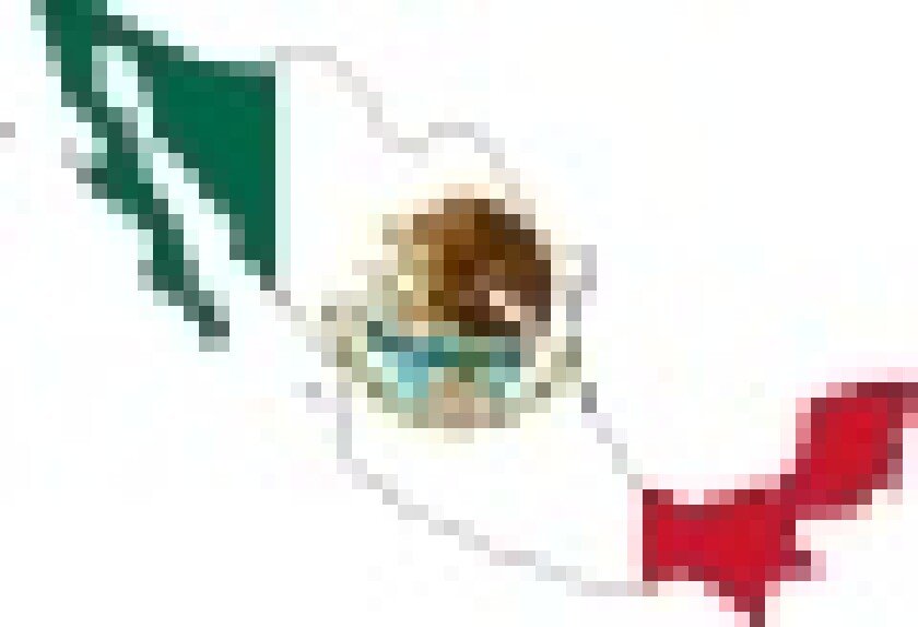 mexico-flag-map.jpg