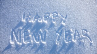 Happy New Year written in snow