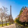 France, Paris, Trocadero gardens, cherry blossoms and the Eiffel Tower