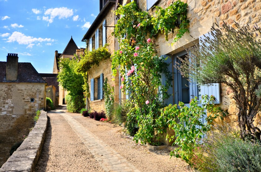 Beautiful street in France filled with vines and flowers in the